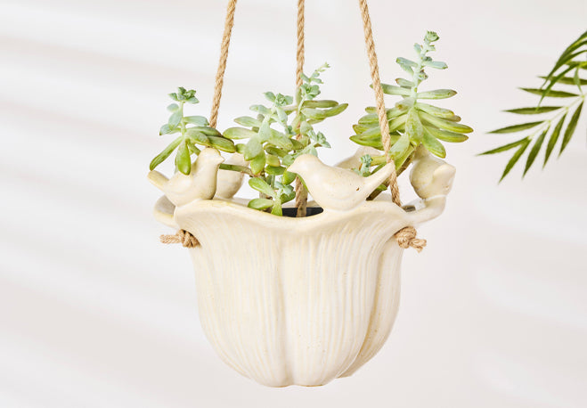 Garden Accessories