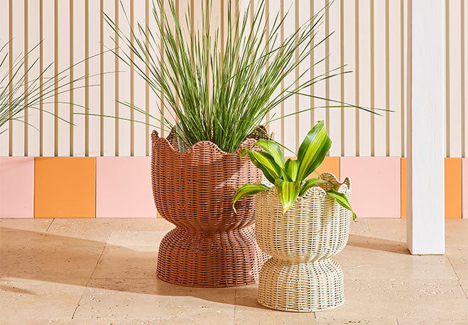 Pots & Stands