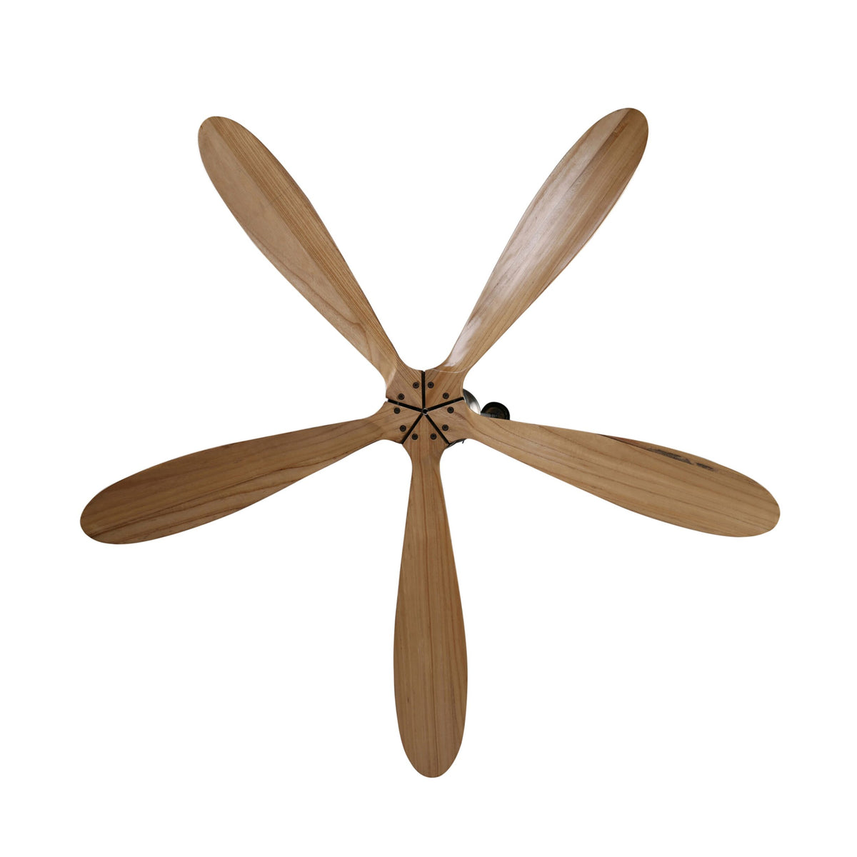 Noumea Indoor DC Ceiling Fan with Remote Natural Timber 152cm Early