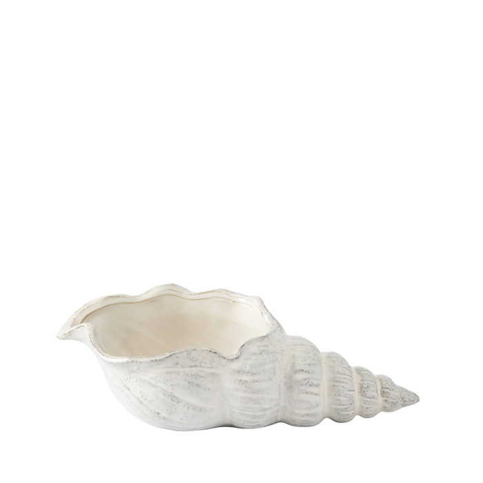 Costiera Periwinkle Seashell Vessel