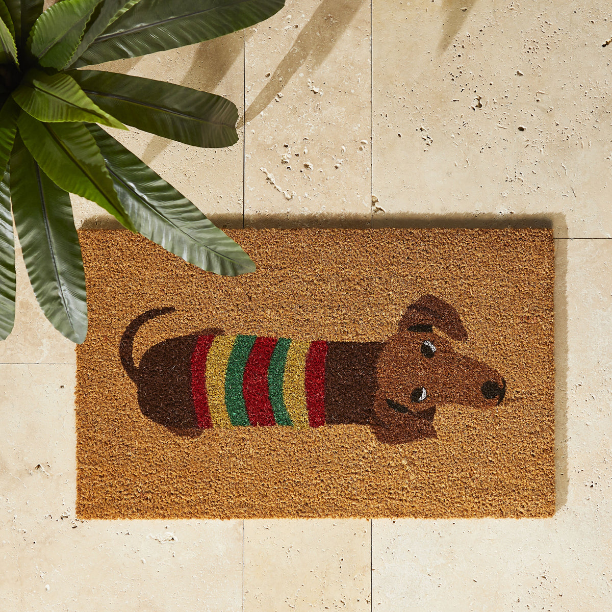 Dachshund in Jumper Coir Doormat 75x45cm Early Settler AU