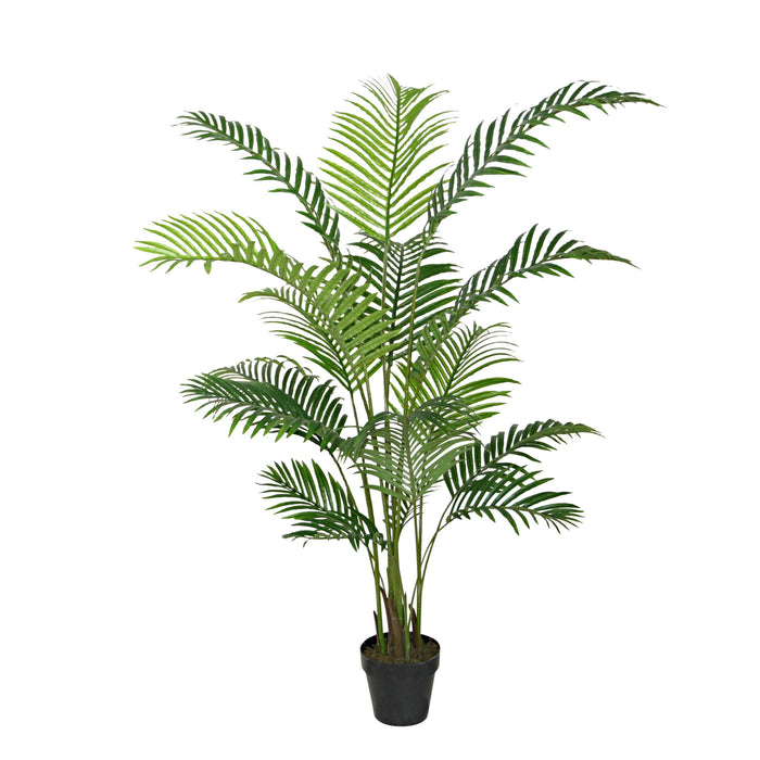 Eden Potted Faux Areca Palm Tree 160cm