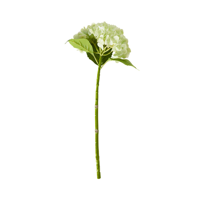 Bloomery Hydrangea Stem Soft Green 56cm