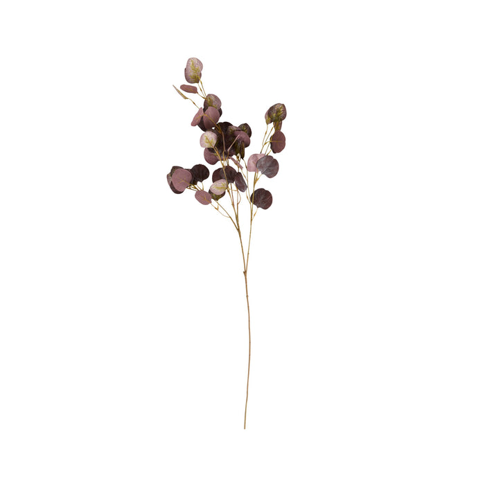 Bloomery Plum Eucalyptus Stem 102cm