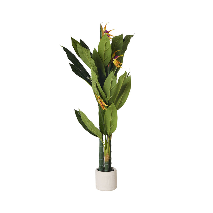 Eden Bird of Paradise 150cm