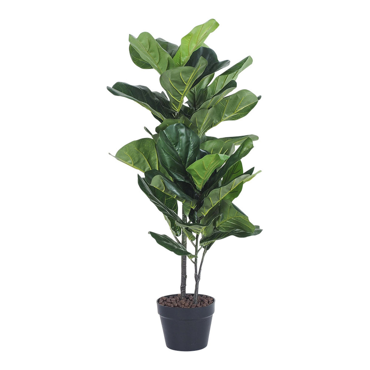 Eden Potted Fiddle Leaf Tree 114cm – Early Settler Au