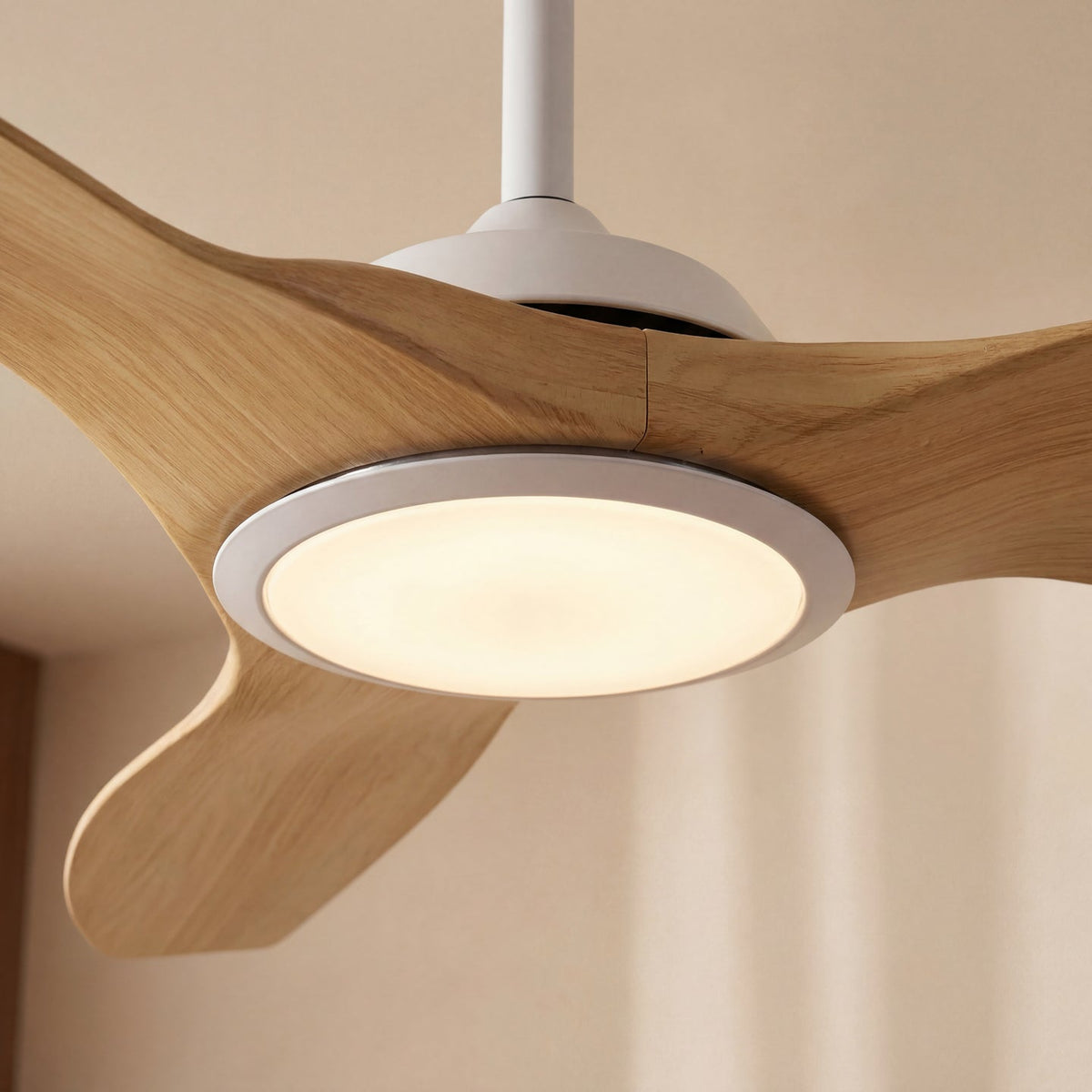 Ceiling Fans