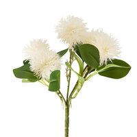 Bloomery Melaleuca Stem 25cm