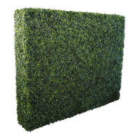 English Box Hedge 150x26x120cm