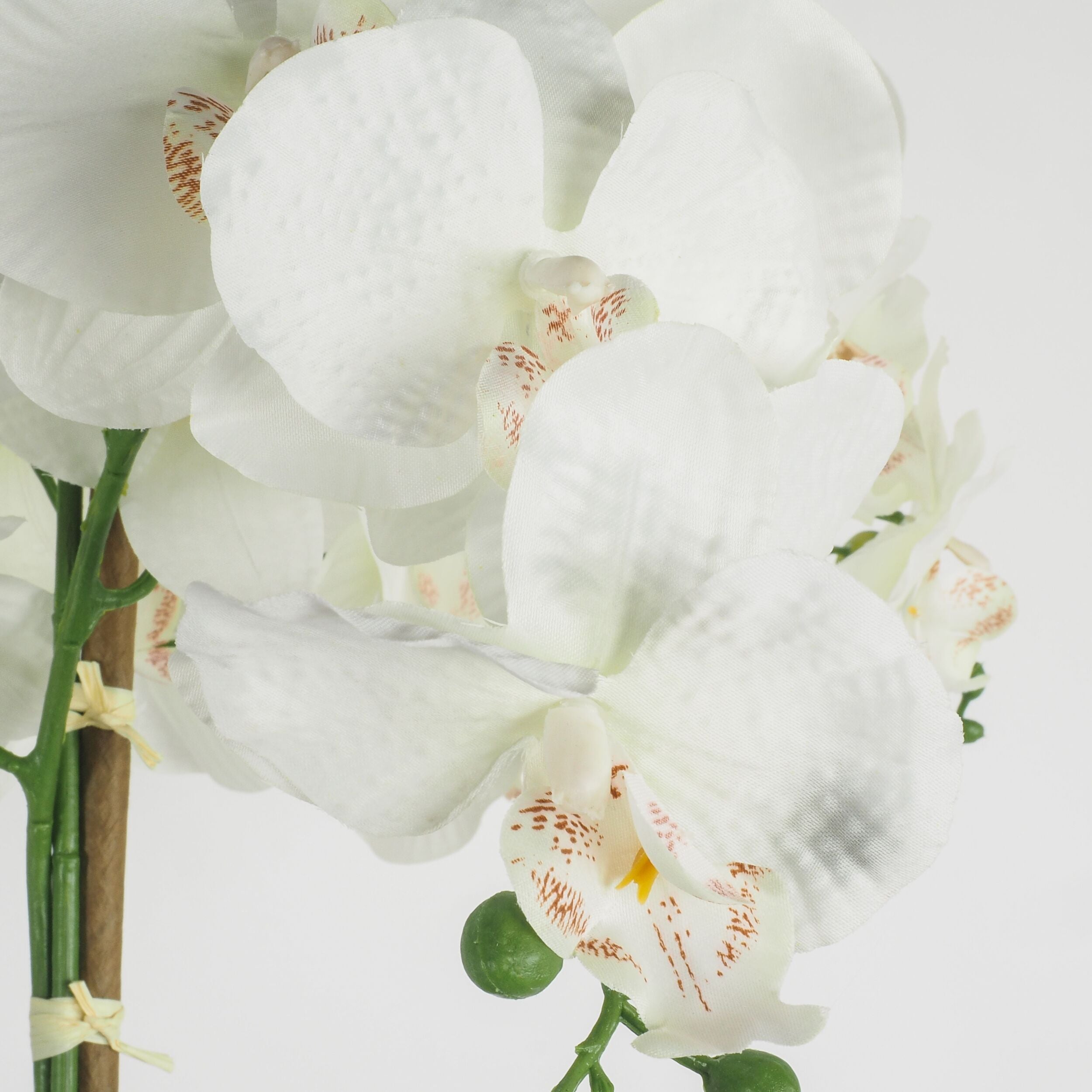 De Fleurs Orchid White Potted 68x71x79cm