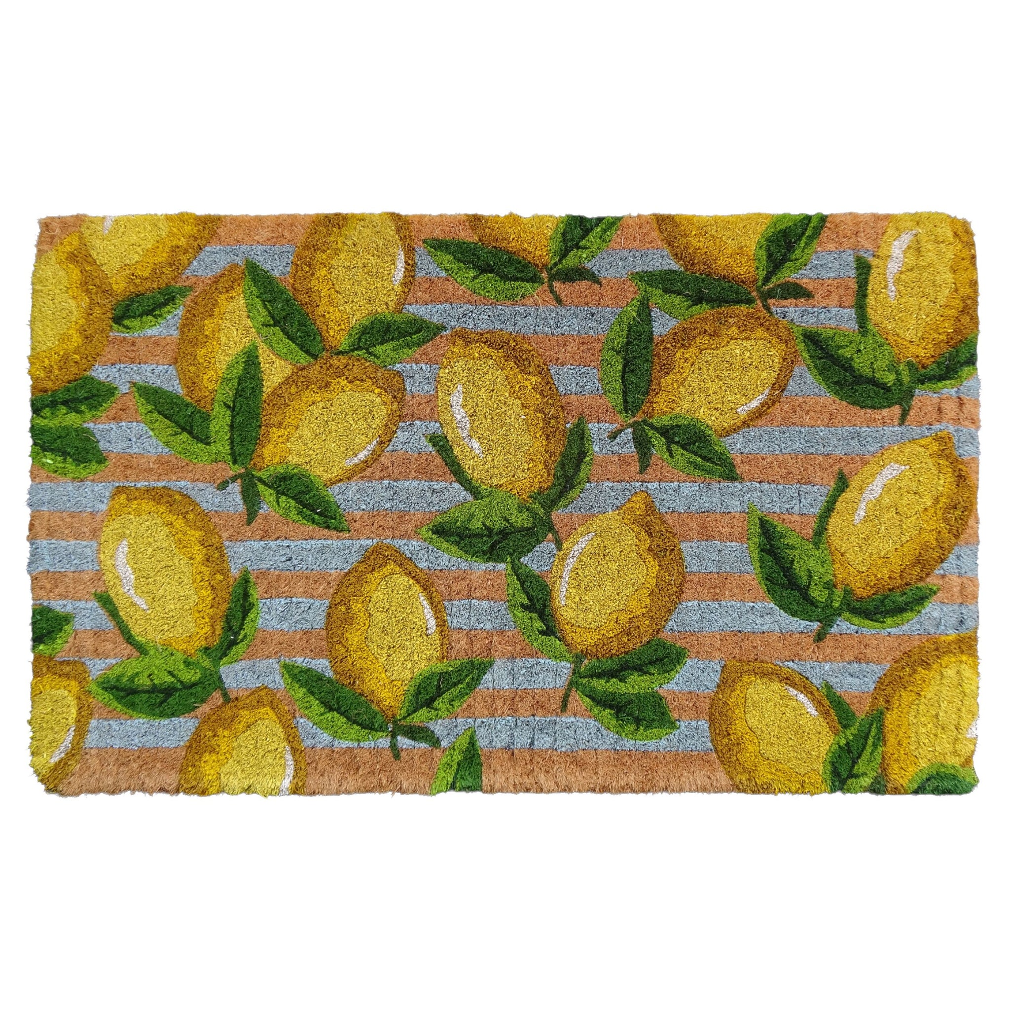 Lemon Crush Coir Doormat 75x45cm