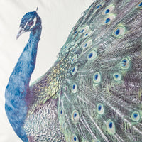 Velvet Peacock Cushion 45x45cm