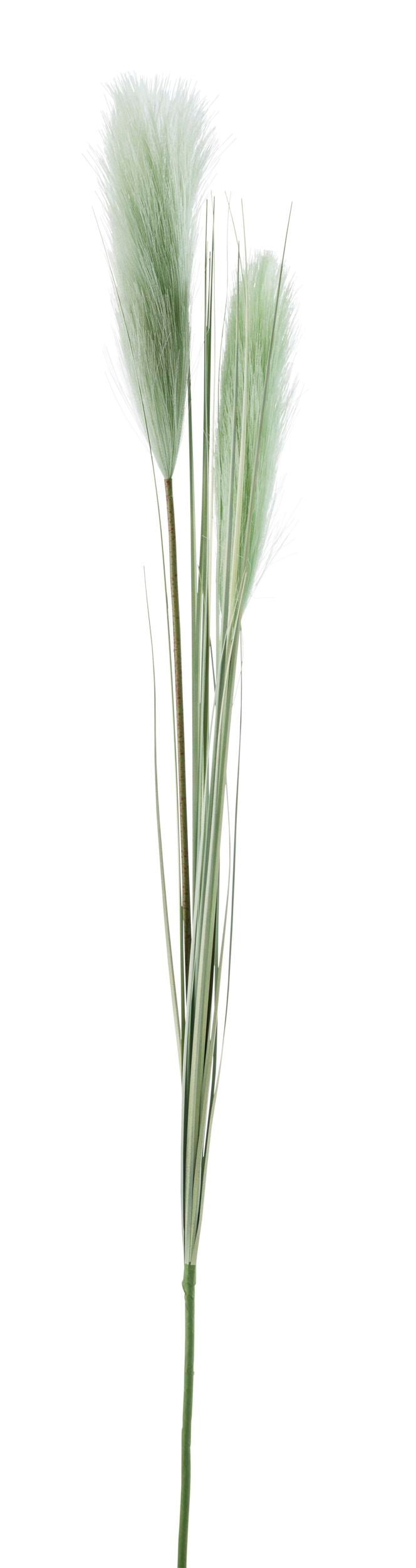 Floret Grass Stem 106cm