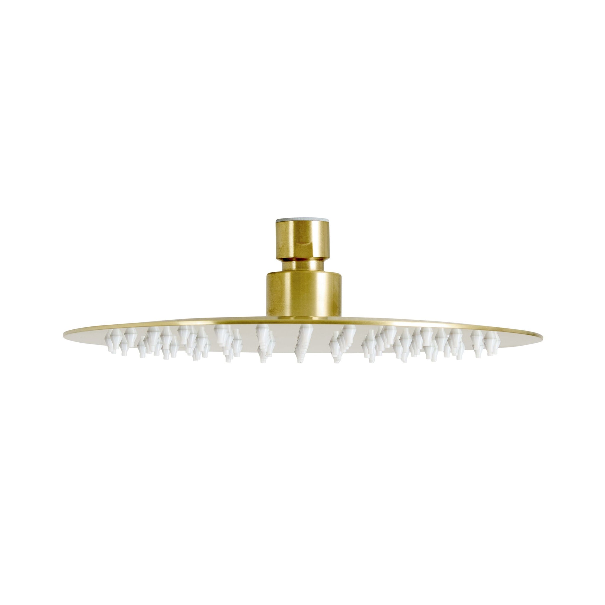 Finlay Shower Head 200mm Brushed Brass