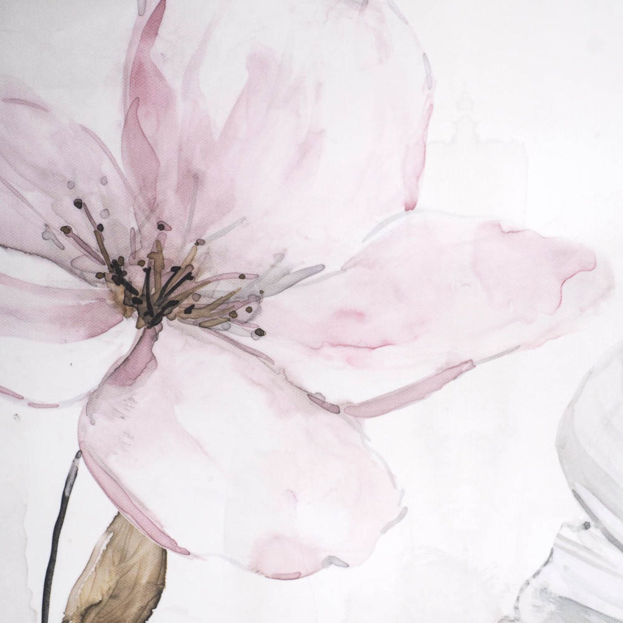 The Arthouse Delightful Blooms Silver Framed Print (100x50cm) features a watercolor painting of a pale pink flower with a brown center and greenish-brown stem on textured canvas, elegantly set against a light background.