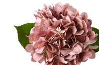 Acacia Hydrangea Flower Stem Vintage Pink 67cm