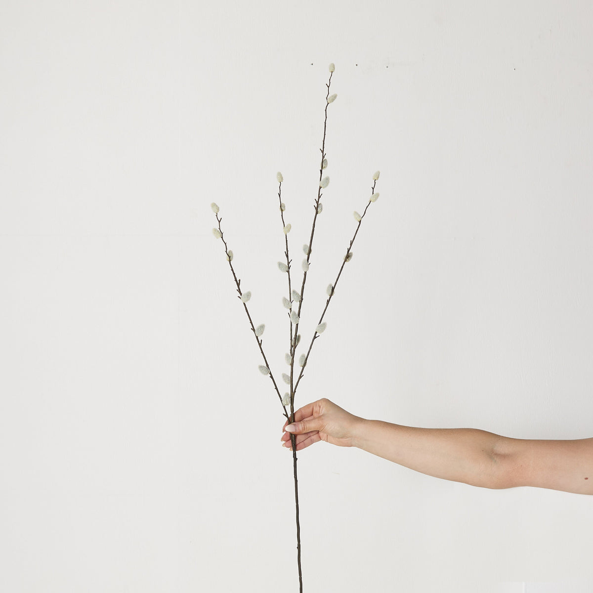 lifestyle_insitu: