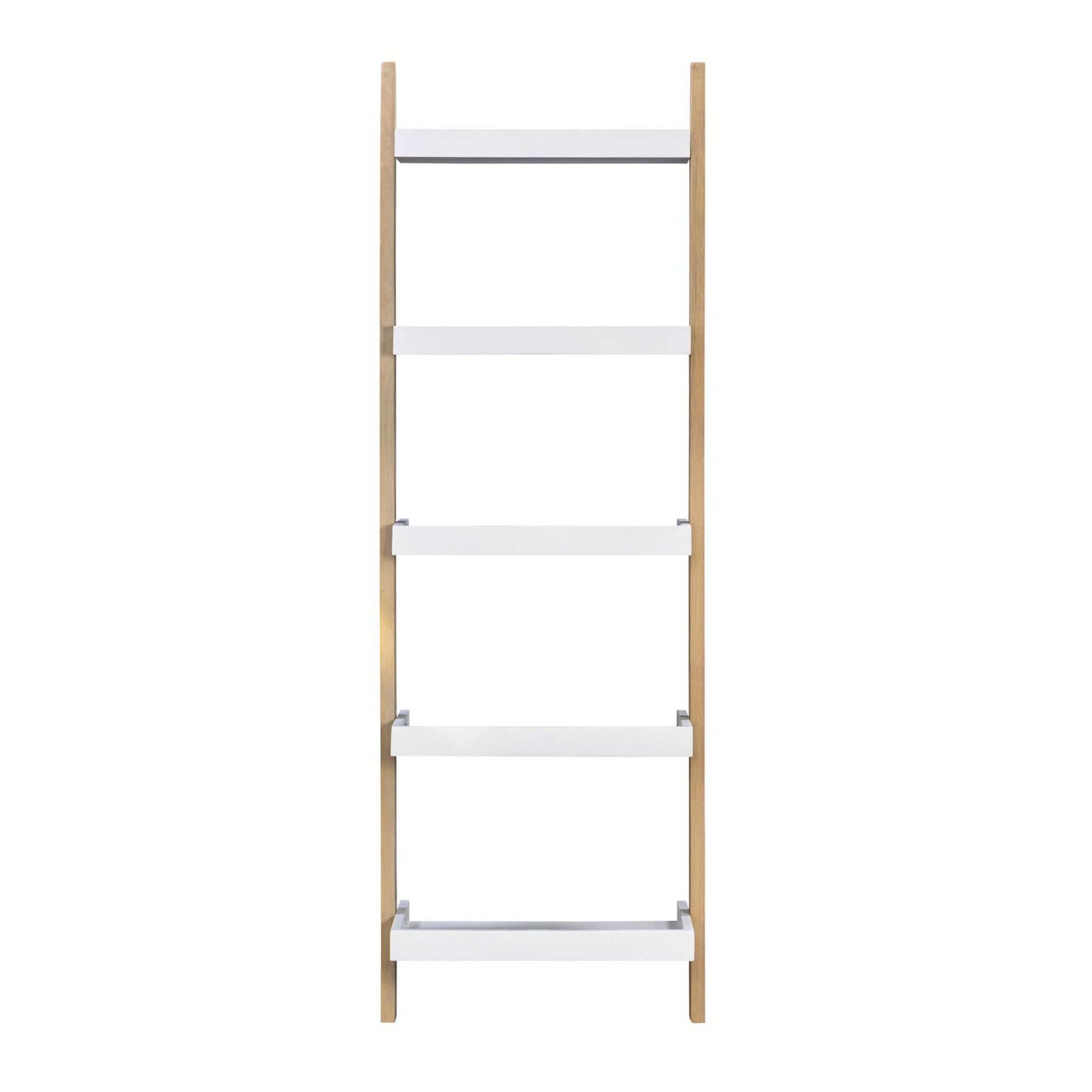 Saige Ladder Shelving Unit