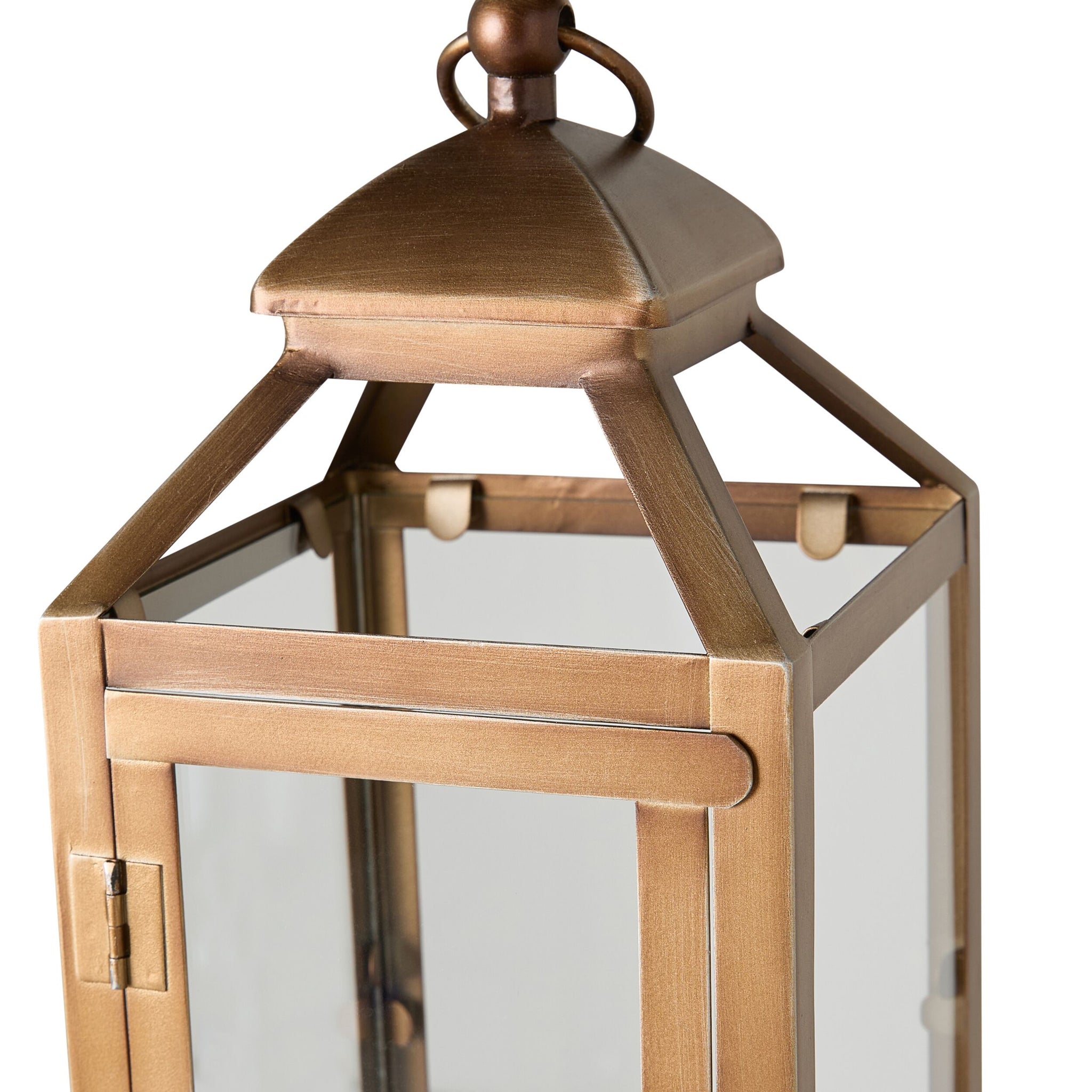 Darwin Lantern