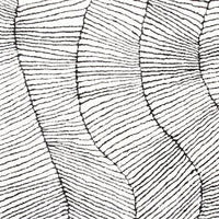 Geo Wave Hand-Tufted Black & White Rug 400x300cm