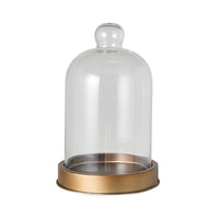 Darwin Glass Cloche
