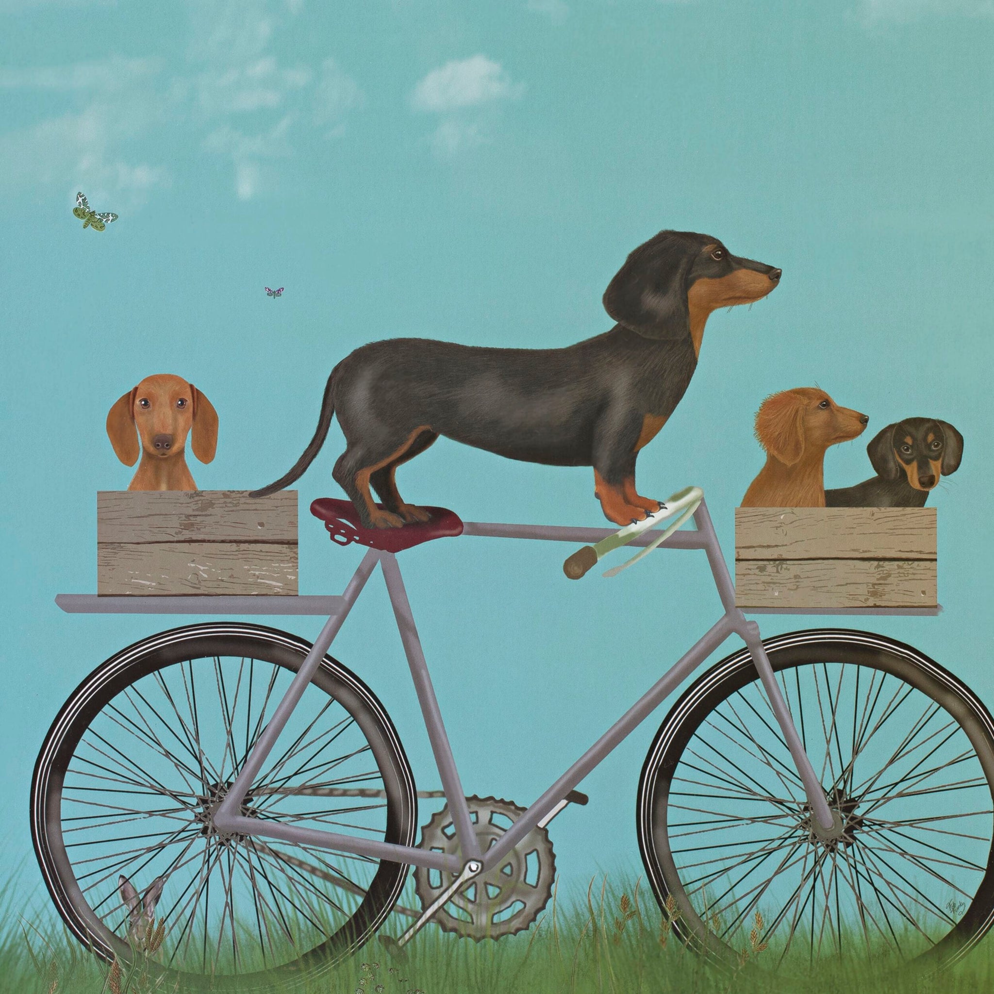 Dachshunds On Bicycle Framed Print 55x45cm