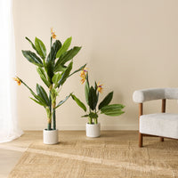 lifestyle_insitu: