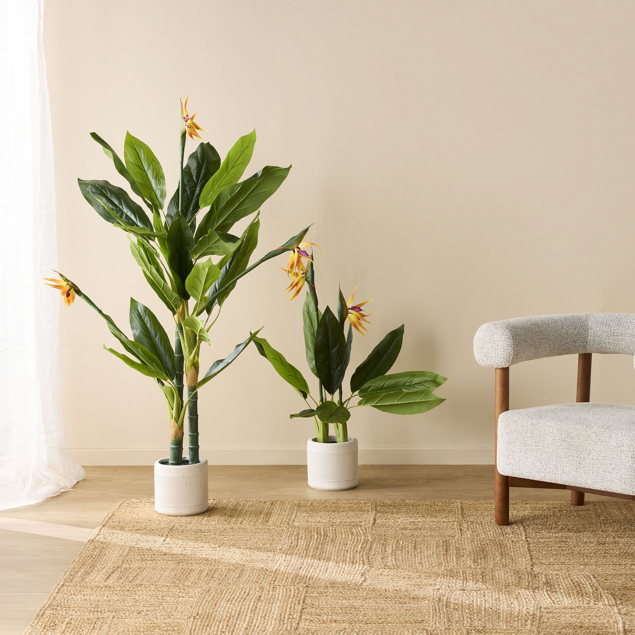 lifestyle_insitu: