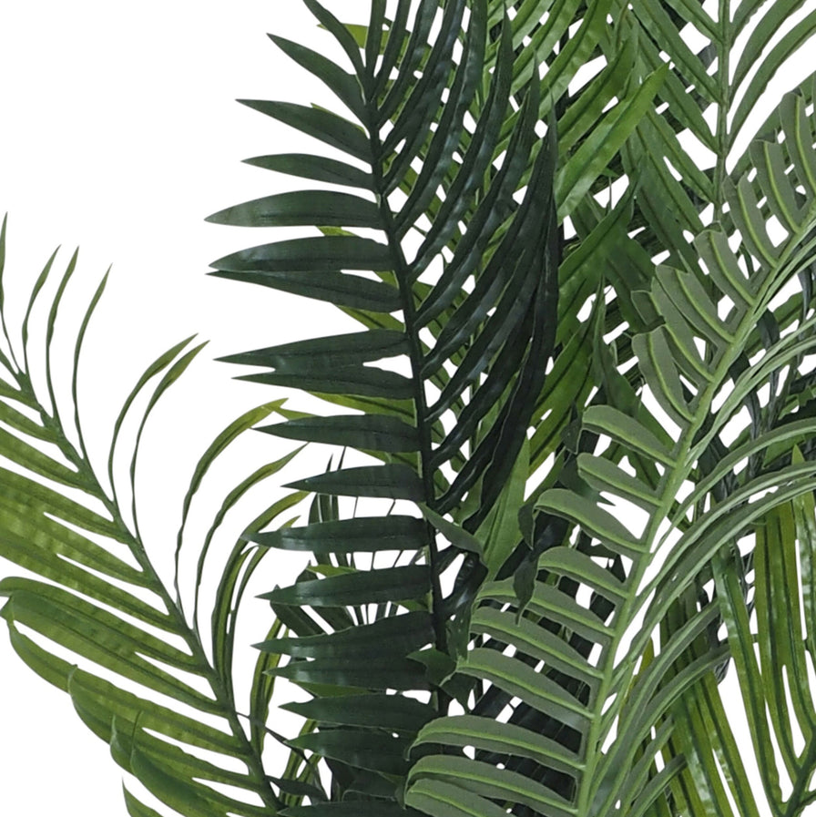 areca palm australia Eden Potted Areca Palm 175cm – Early Settler Australia