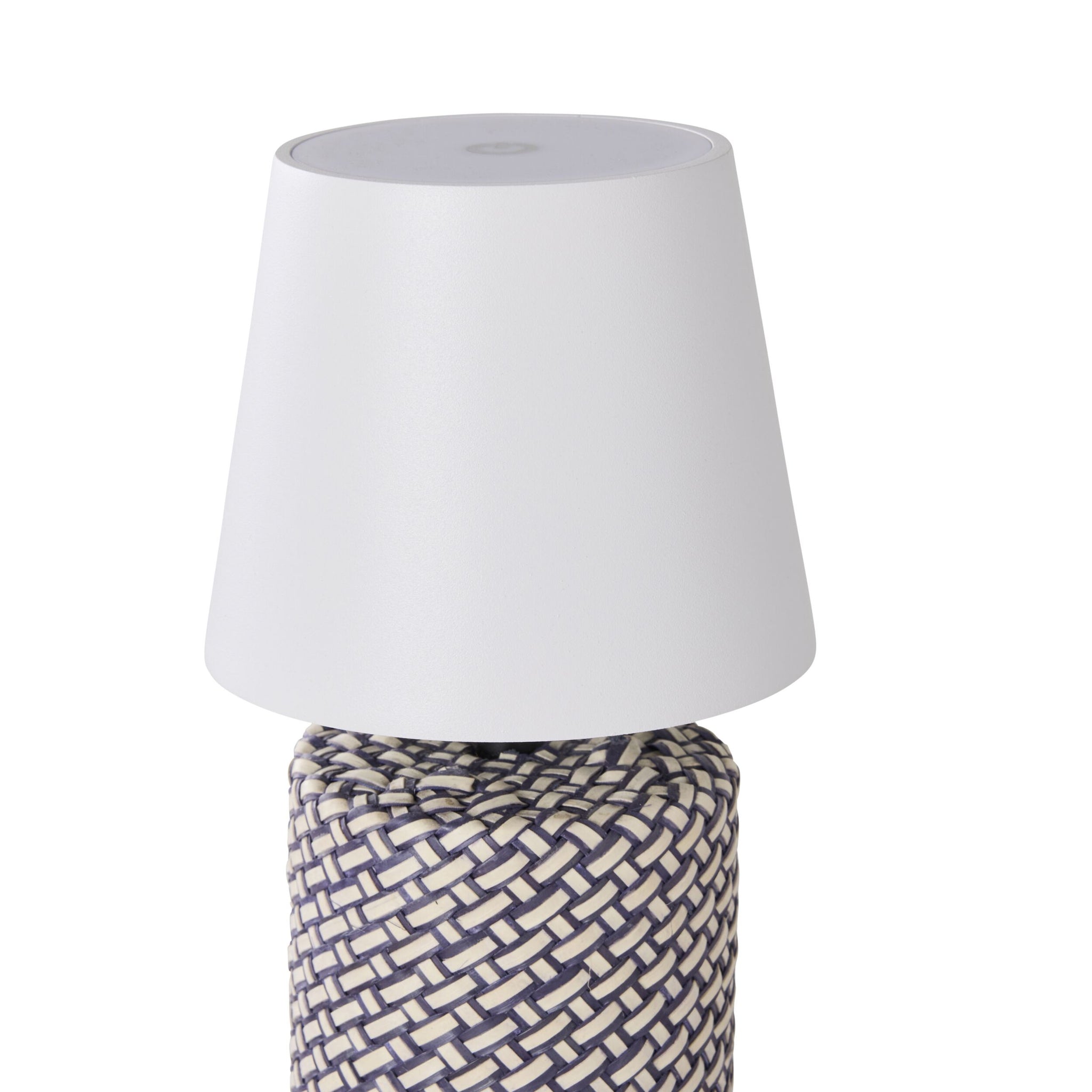 Alexa Palm Leaf Portable Lamp with LED 29cm