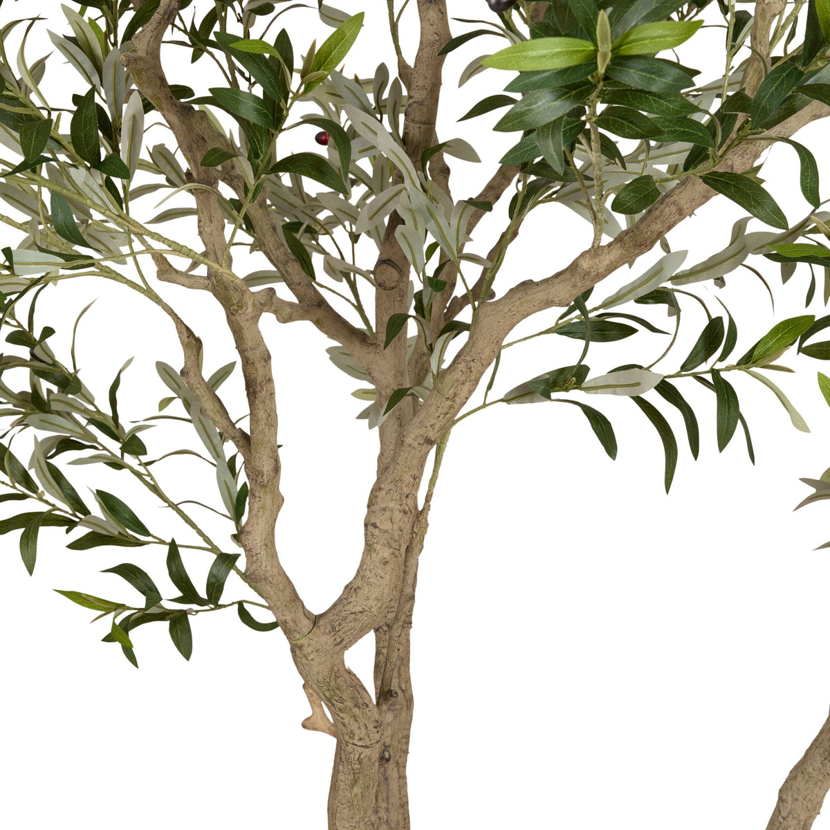 Grand Jardinière Olive Tree Palm 230cm