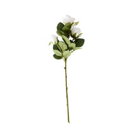 Bloomery Rose Stem White 51cm