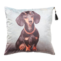 Lavish Captain Dash Cushion 45x45cm