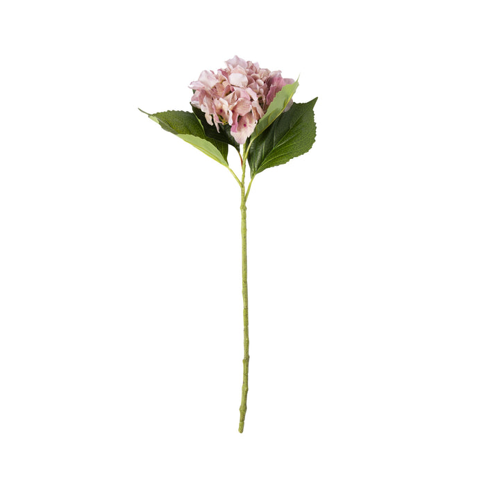 Bloomery Hydrangea Stem Rose Pink 61cm