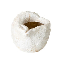 Seashell Planter