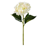 Floret Giant Hydrangea Cream 81.5cm