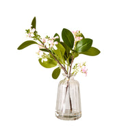 Floriana Jasmine Cutting Vase