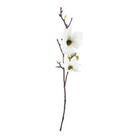 Floret Magnolia Spray