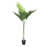 Eden Potted Faux Palm Tree 225cm