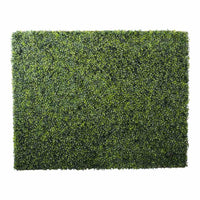 English Box Hedge 150x26x120cm