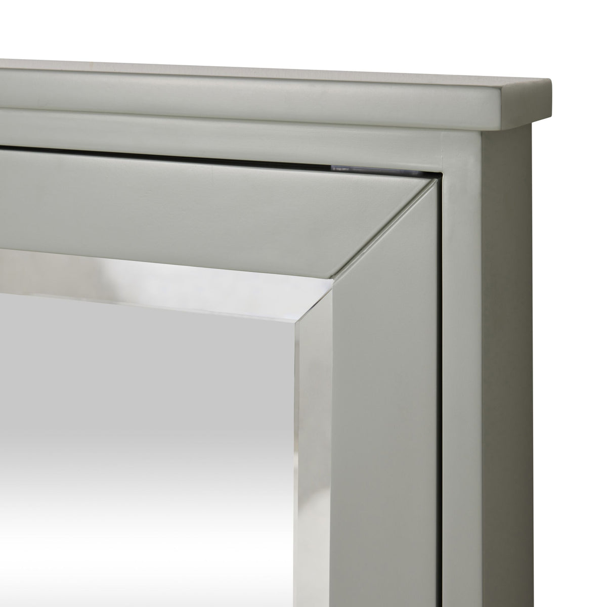 Liam Vanity Mirror Cabinet Evergreen Fog 610x762mm