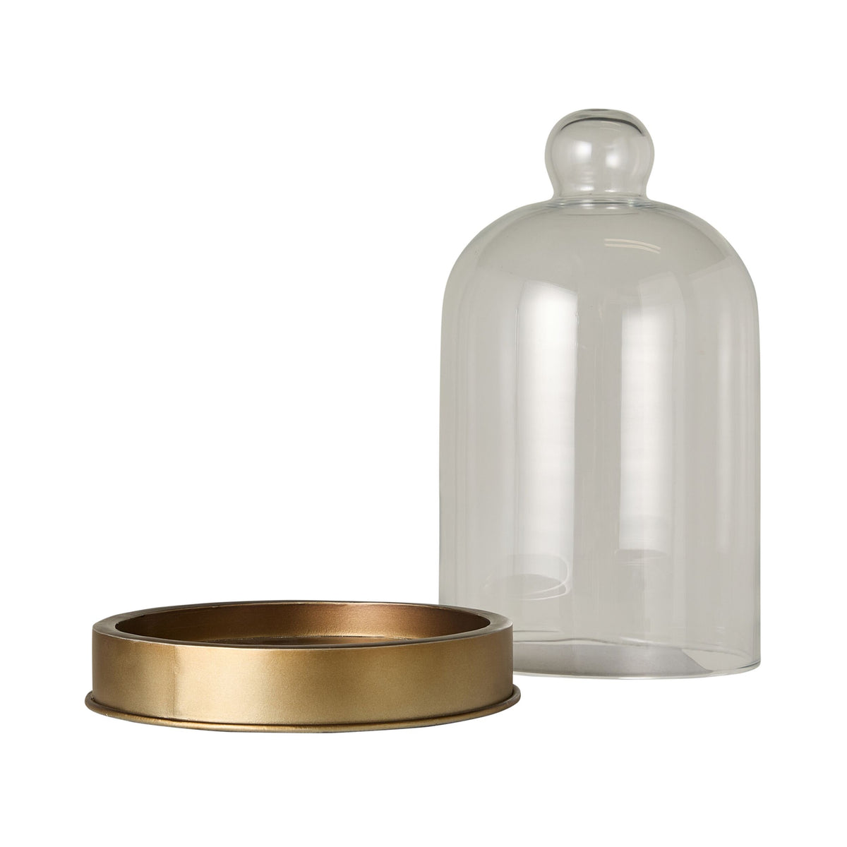 Darwin Glass Cloche