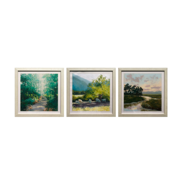 Nature's Glory Framed Artwork Set of 3 90x30cm