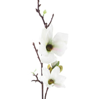 Floret Magnolia Spray