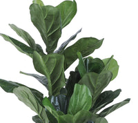 Eden Potted Fiddle Leaf Tree 120cm