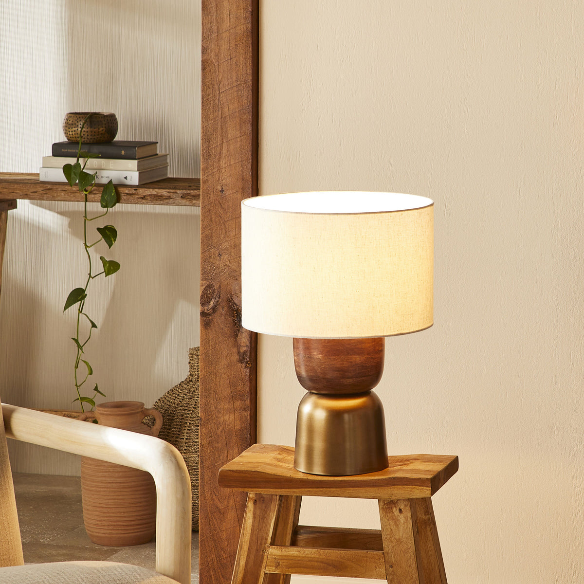 lifestyle_insitu: