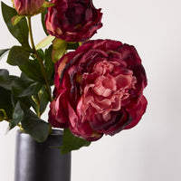 lifestyle_insitu: