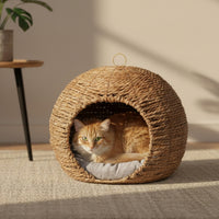 lifestyle_insitu: