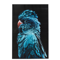 Blue Teal Charles Cockatoo Framed Print 120x80cm