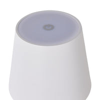 Alexa Palm Leaf Portable Lamp with LED 29cm